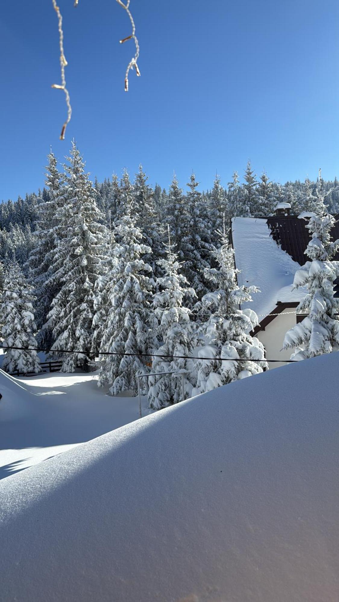Guest House Alpha Ski Camp Jahorina Bagian luar foto