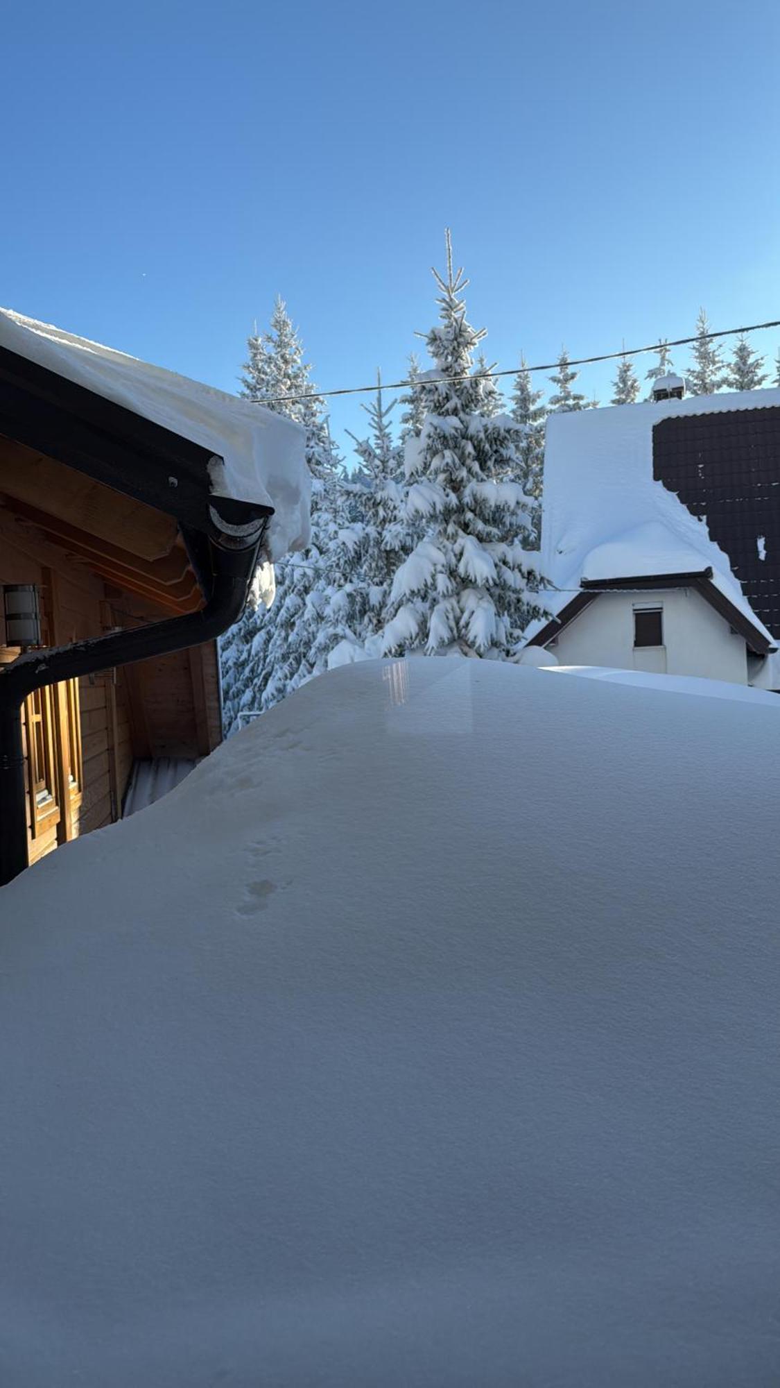 Guest House Alpha Ski Camp Jahorina Bagian luar foto